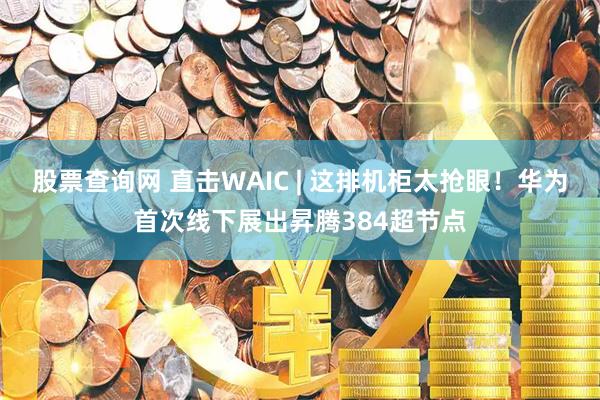 股票查询网 直击WAIC | 这排机柜太抢眼！华为首次线下展出昇腾384超节点